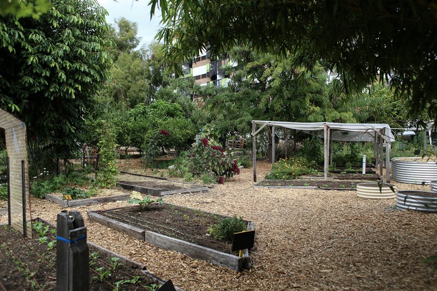 recommended spacing between garden beds matters