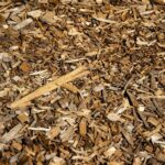 risks of treated wood beds