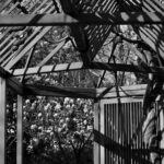 three best a frame garden trellises 2026