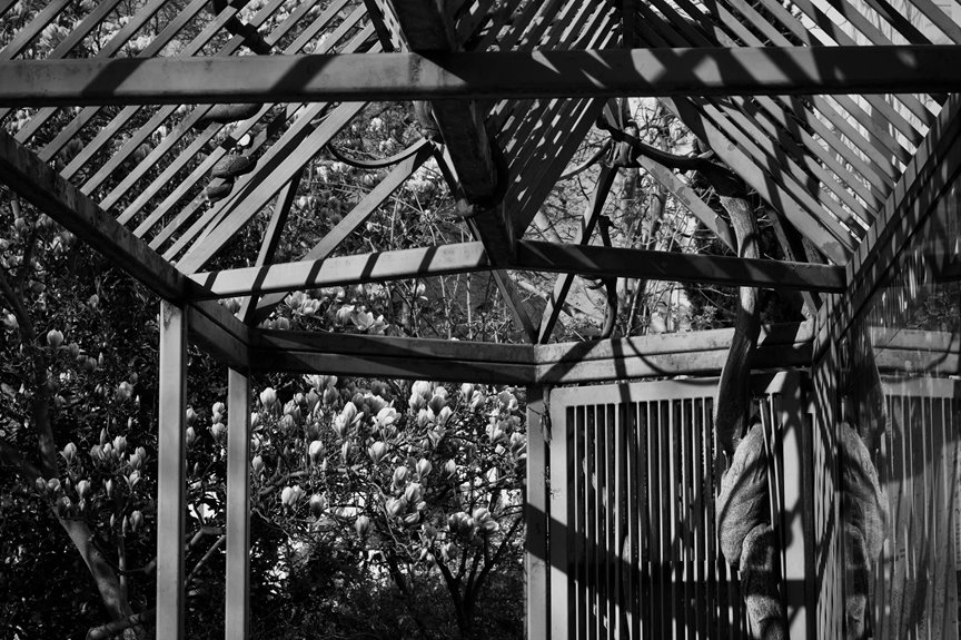 three best a frame garden trellises 2026