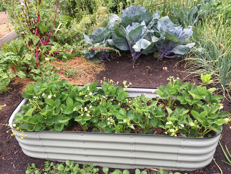 where vego garden beds made